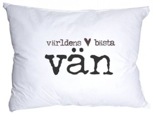 Världens bästa vän
