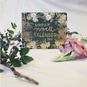 Novellkalender Novellix 2019