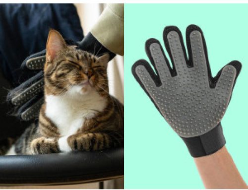 Borsthandskar för hund & katt