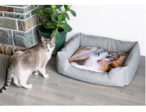 Hund- och kattbädd med foto
