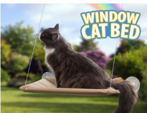 Kattbädd för fönster