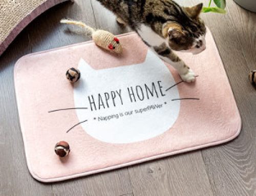 Sovmatta till hund & katt