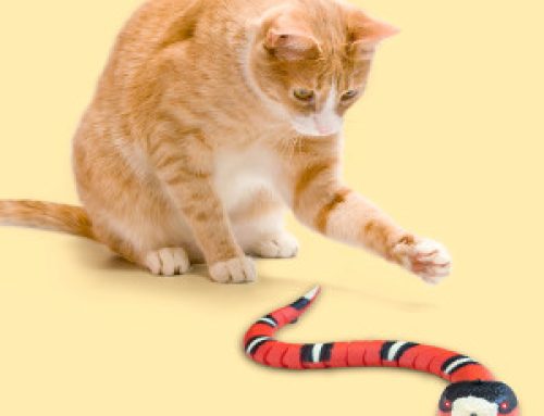 Smart Sensing Snake – Kattleksak