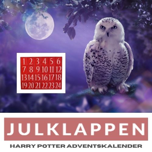 Harry Potter adventskalender & julkalender