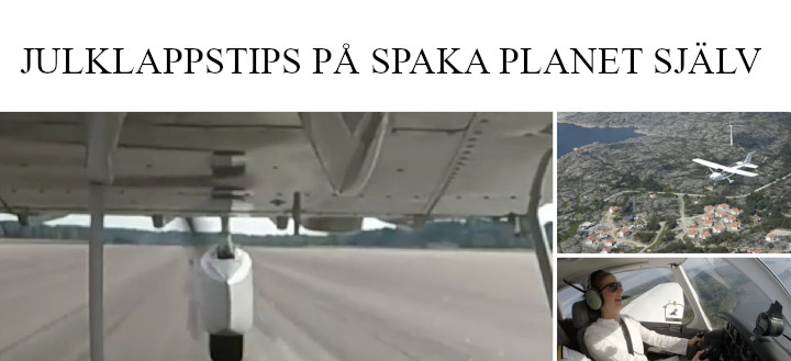 Julklappstips - Spaka planet själv